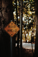 Sign in a forest that reads 'Road Ahead'.