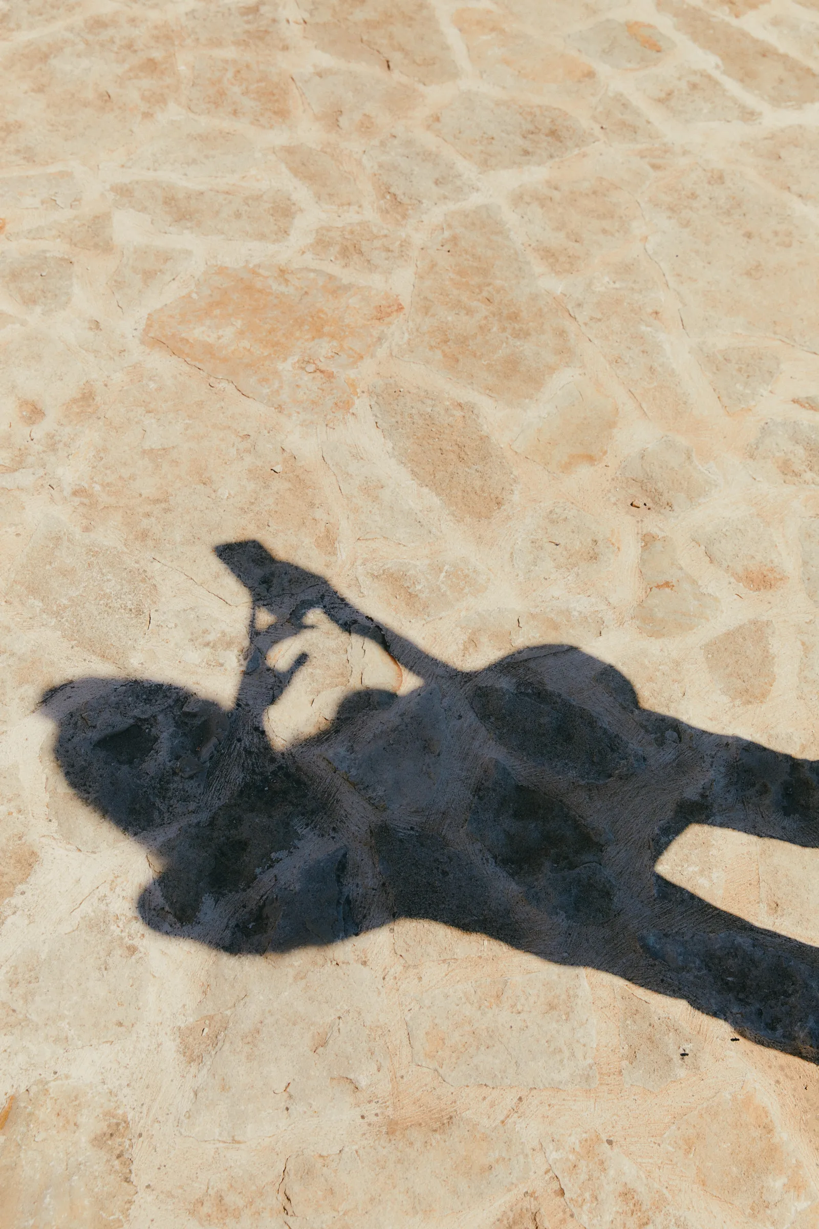 A person’s shadow on a stone wall